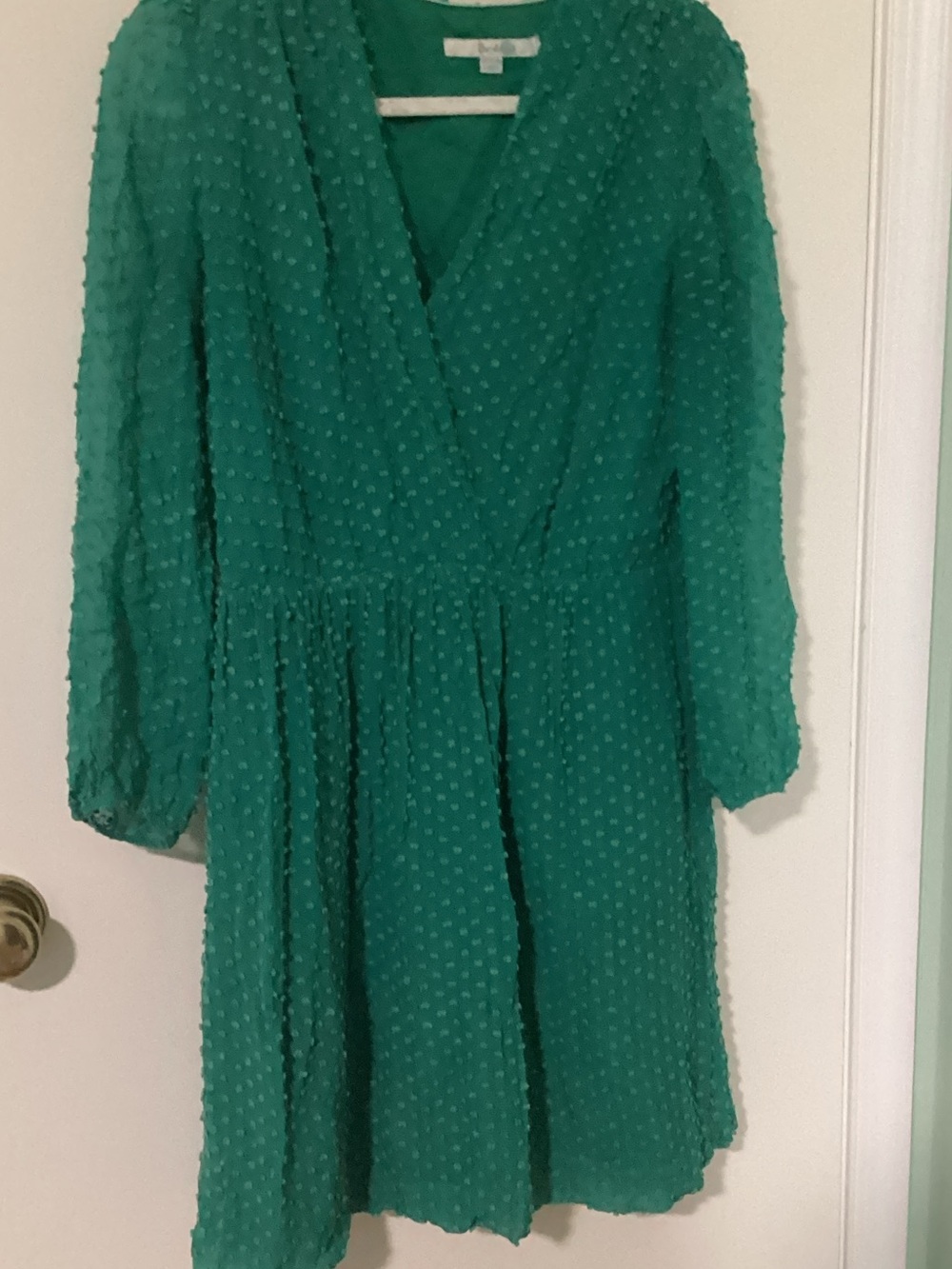 Green textured boden dress with mesh sleeves.
